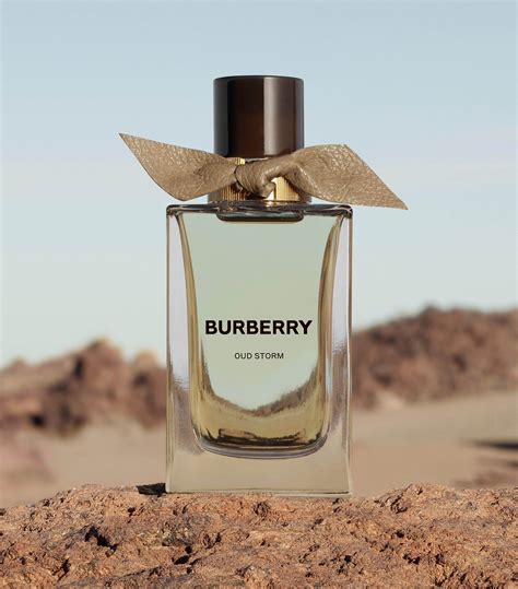 burberry storm|burberry storm odour.